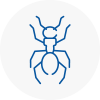 Ant Removals In South Normanton