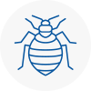 Bed Bug Extermination In South Normanton