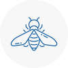 Bee Nest Removal South Normanton