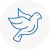 Bird Prevention South Normanton