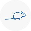 Mice Exterminators In South Normanton
