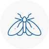 Moth Control Specialists In South Normanton
