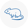 Rat Control South Normanton