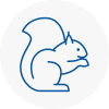 South Normanton Rodent Removals